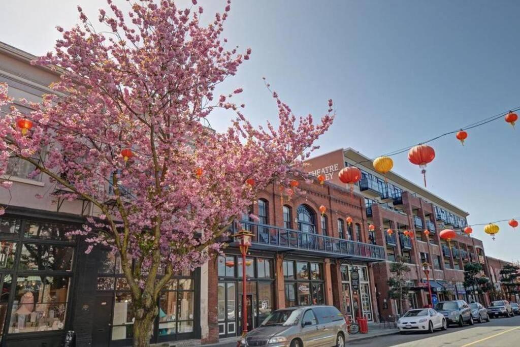 Clean 3Rd Floor Executive 1 Bedroom Apt In Old Town China Town 빅토리아 외부 사진
